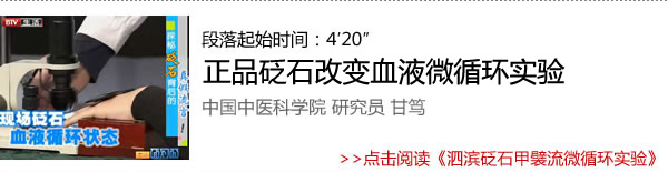 泗濱砭石甲襞流微循環實驗