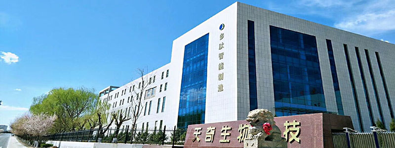 泗濱砭石標準刮痧板