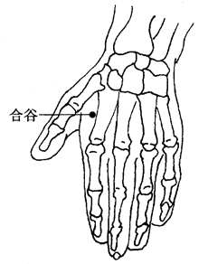 合谷